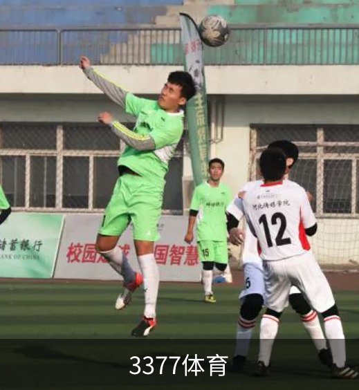 走进3377体育